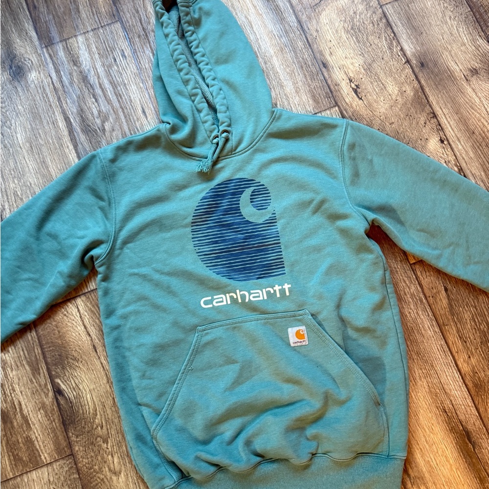 Carhartt Rain Defender Hoodie in Sage